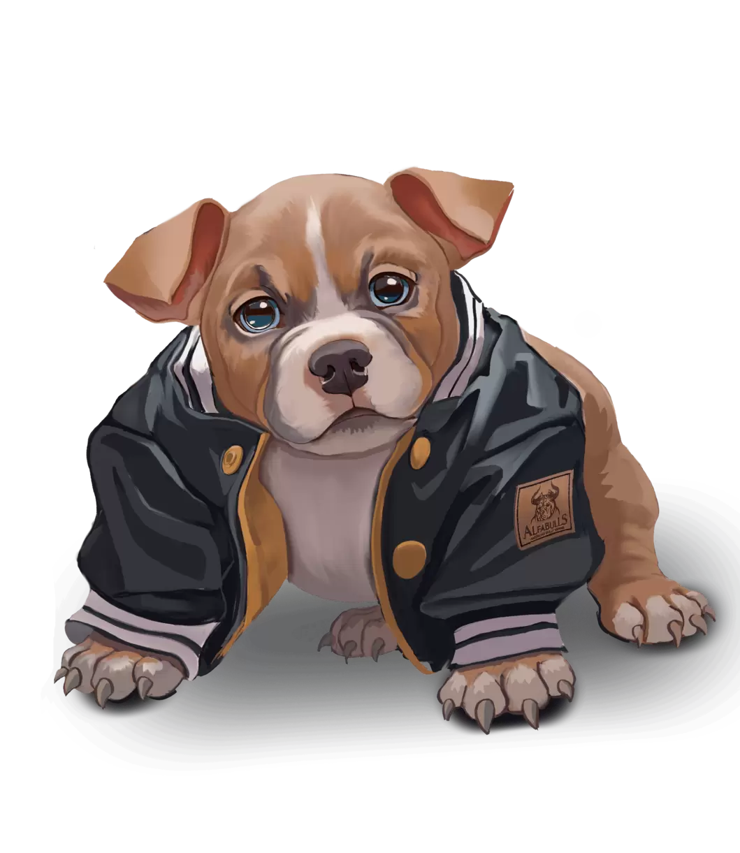 Щенки американского булли