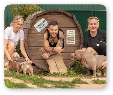 Питомник AlfaBulls