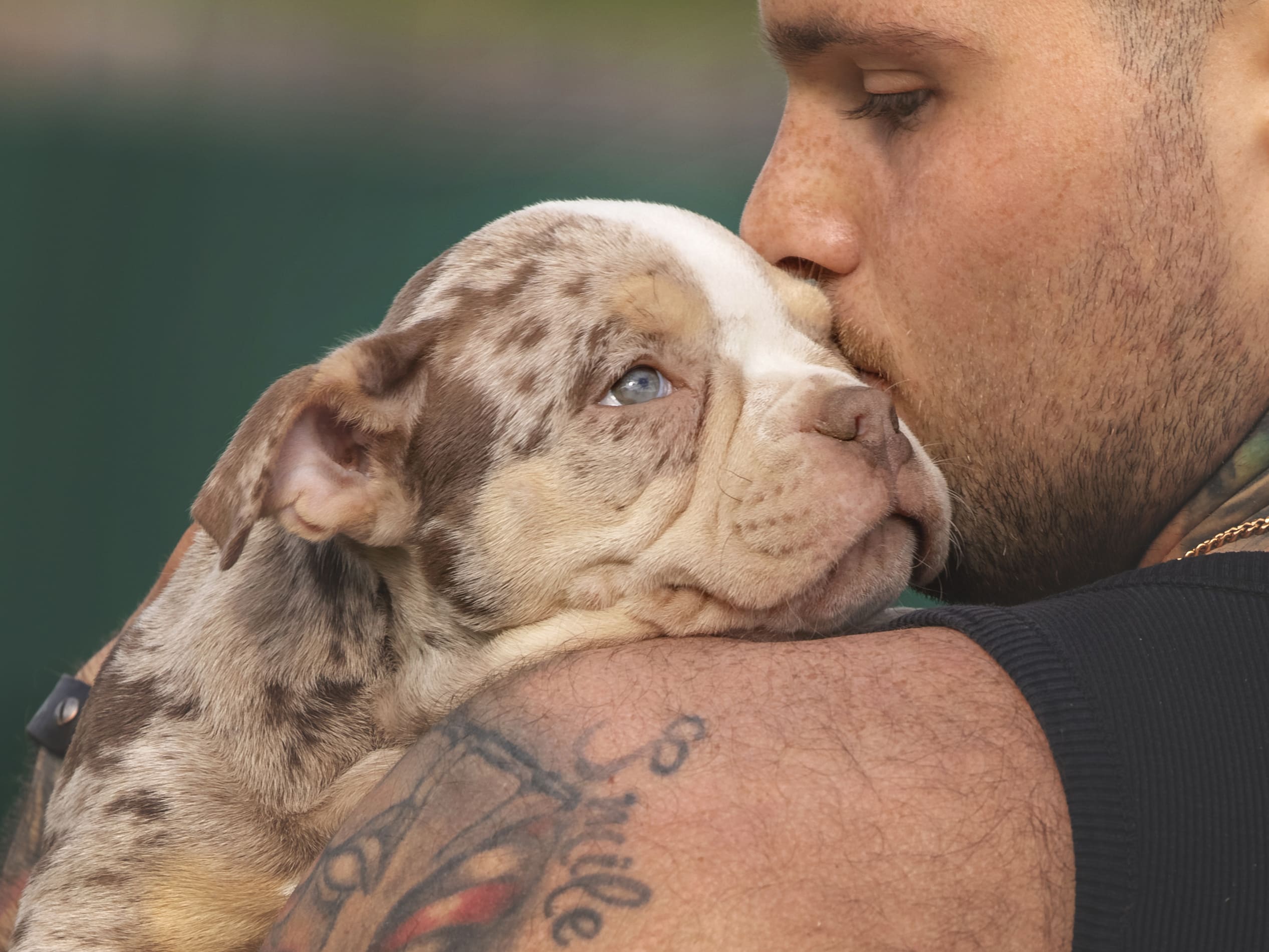 Качество породы