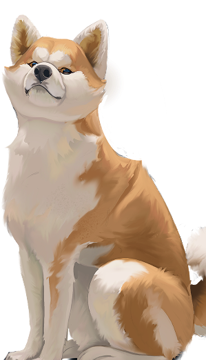 Видео отзыв